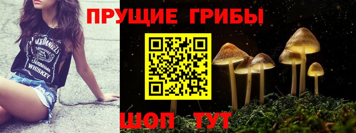 Гусев  Псилоцибиновые грибы GOLDEN TEACHER  Вход с VPN 