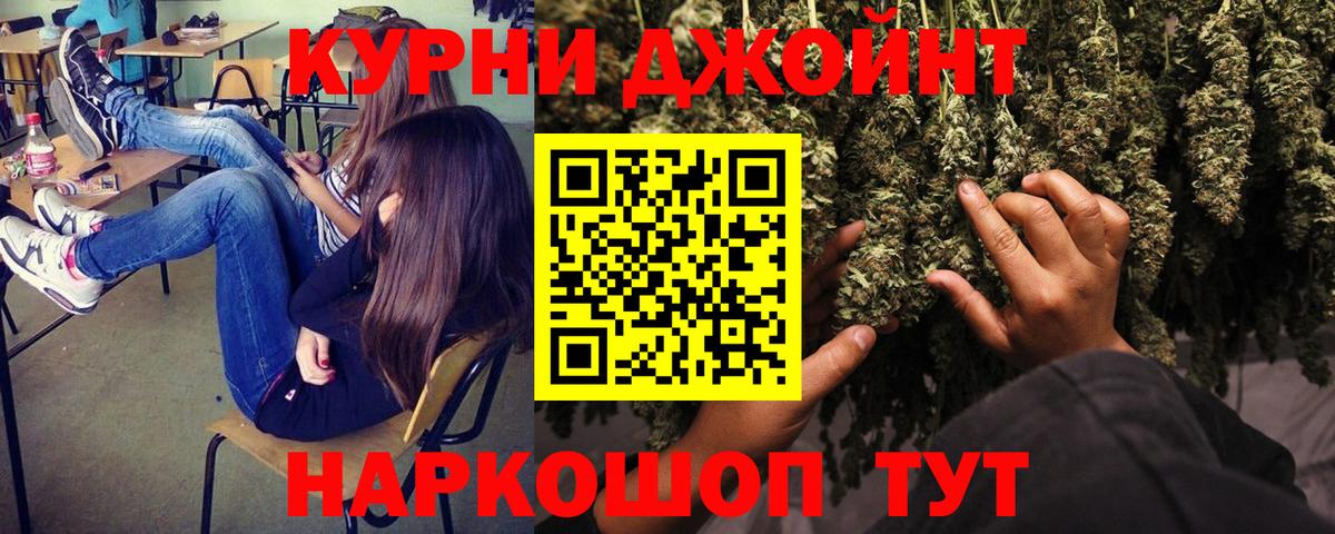 APVP Гусев